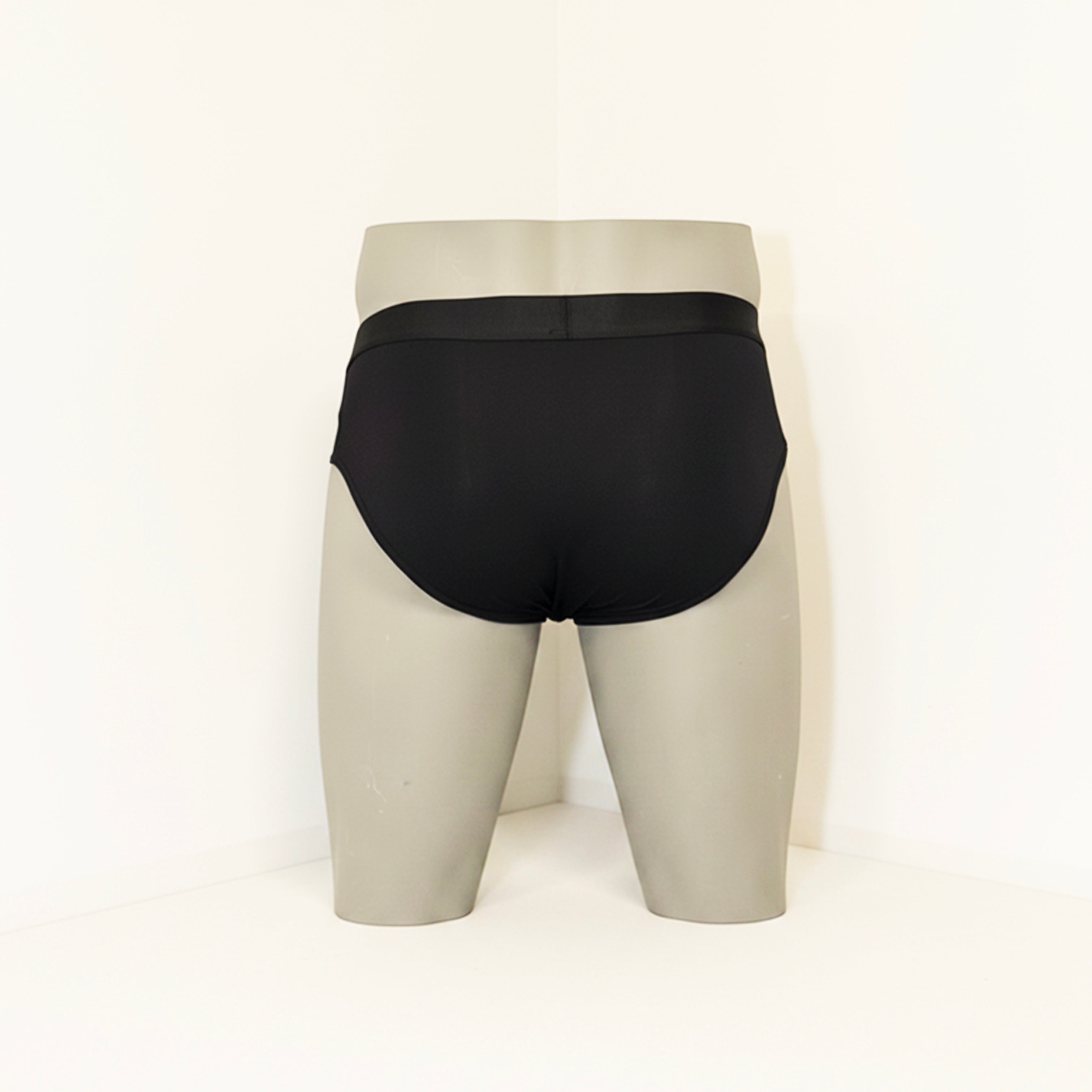 The Brief